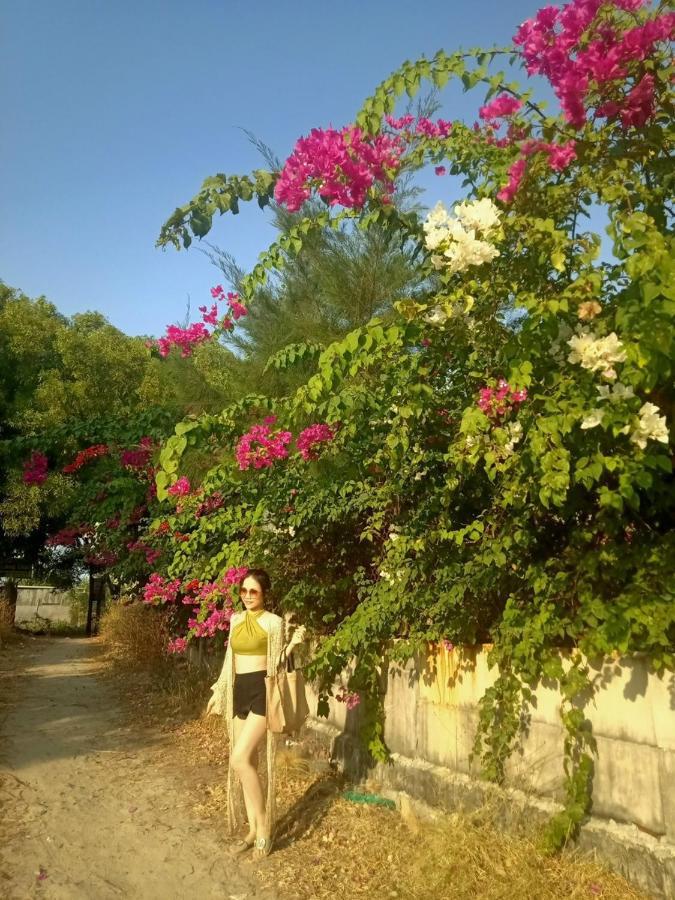 lều Mango *