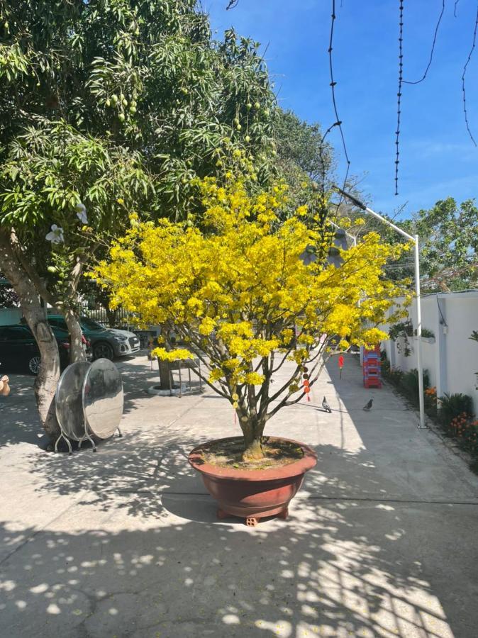 lều Mango Long Hải
